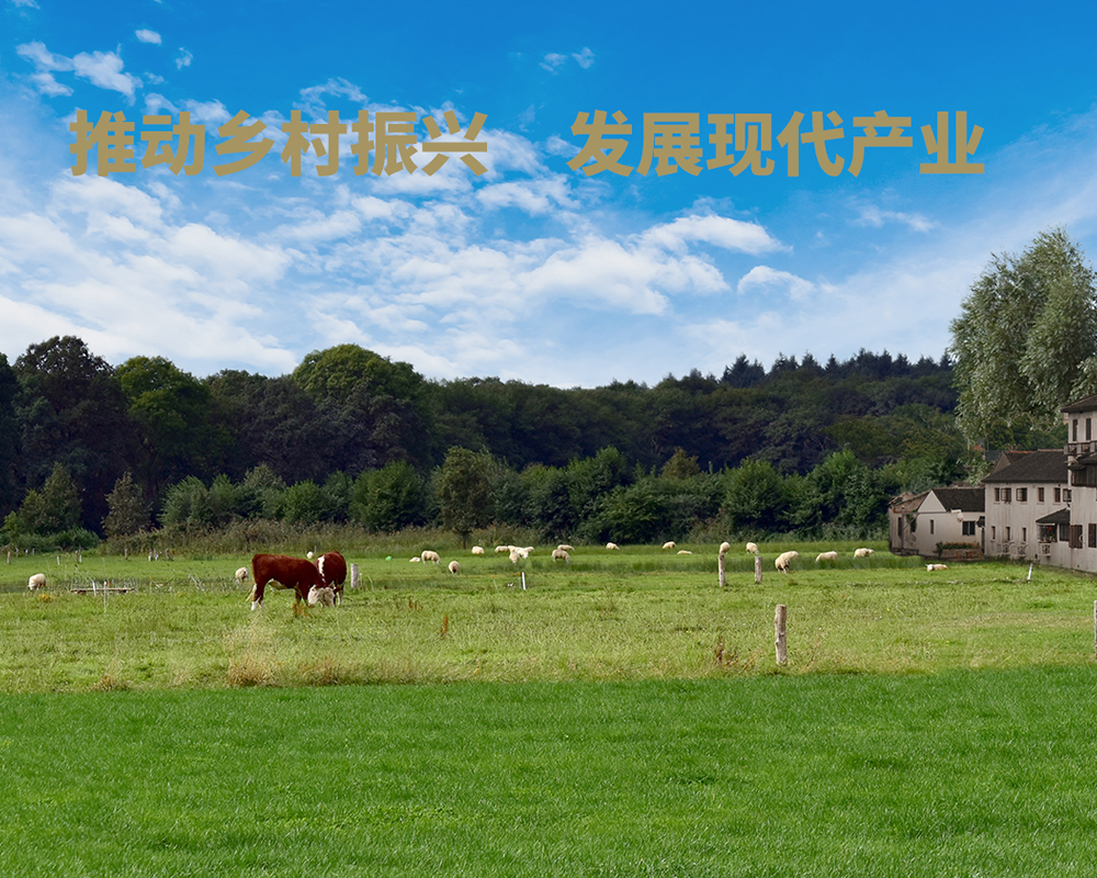 農業(yè)產業(yè)